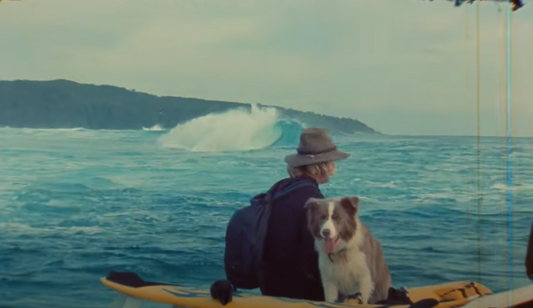 FOR YOUR VIEWING PLEASURE @harrybryant for @octopusisreal